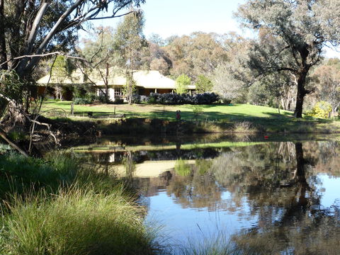 Wildwood Guesthouse - Accommodation Directory 3