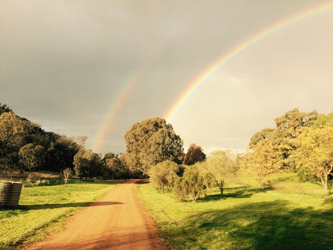 Wildwood Guesthouse - Accommodation Directory 4