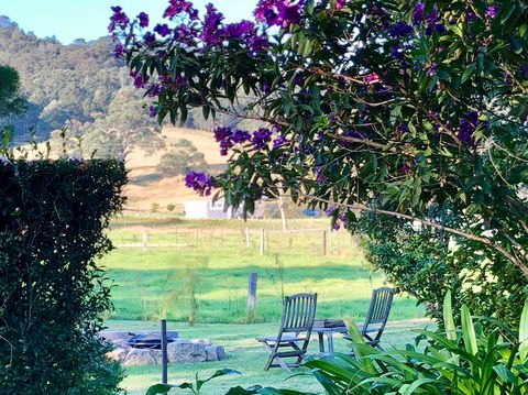 Arcadia Cottages At Cambewarra - Accommodation Directory 5