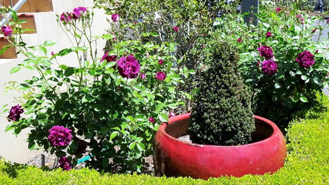 Armidale Pines Motel - Accommodation Directory 0