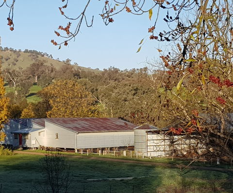Bibbaringa Shearers Quarters And The WoolShed - Accommodation Directory 6