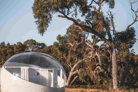 Coonawarra Bubble Tents - Accommodation Directory 0