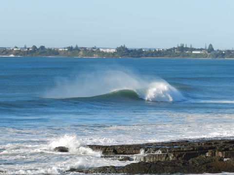 Culburra Beach Motel - Accommodation Directory 3