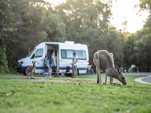 Diamond Head Campground - Accommodation Directory 3