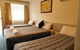 Hunter Valley Motel - thumb 4
