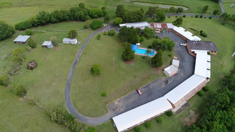 Jacaranda Motor Lodge And Moos Restaurant - Accommodation Directory 0