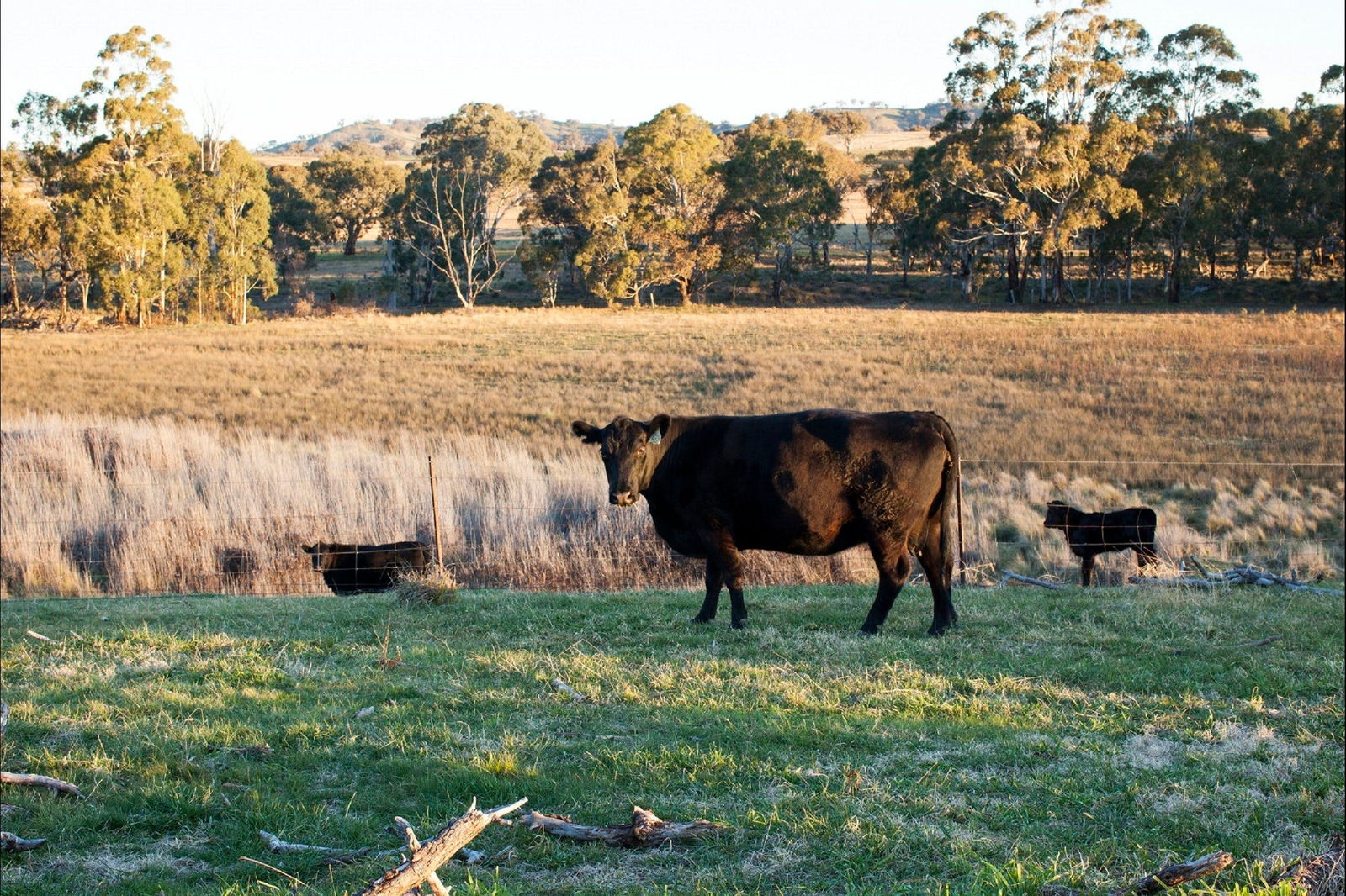 Meroo NSW Accommodation Directory