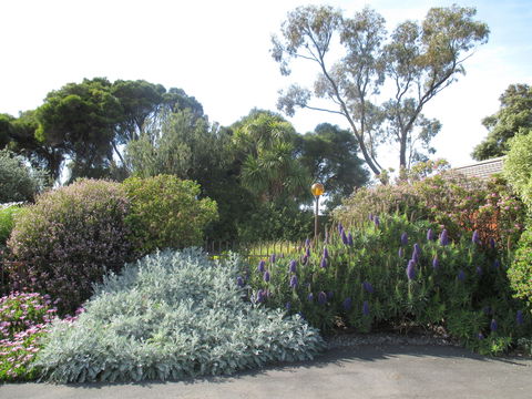 Motel Warrnambool - Accommodation Directory 8