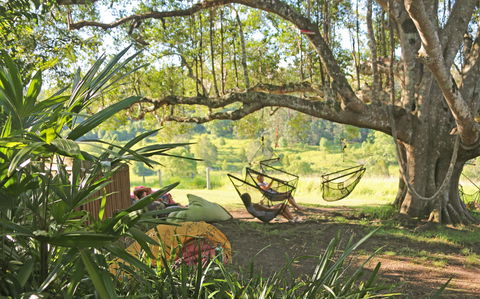 Nimbin Rox YHA - Accommodation Directory 0