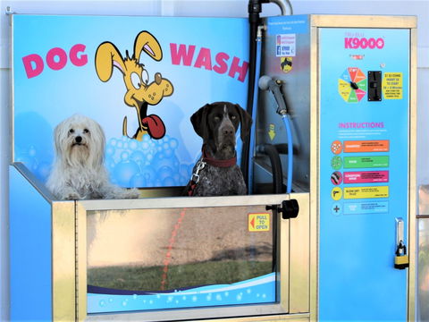 Prime Pet Friendly Tourist Park - Accommodation Directory 6