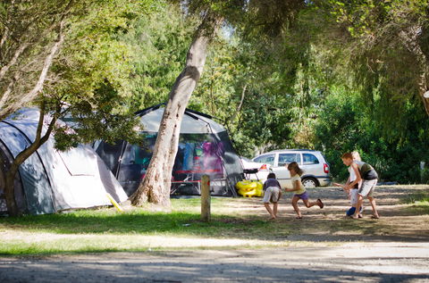 Rosebud Foreshore Camping - Accommodation Directory 2