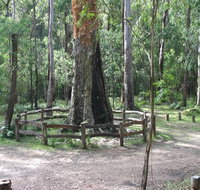 Six Mile Creek campground - Accommodation Directory
