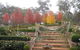 Wejalee Bed And Breakfast - thumb 1