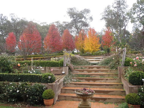 Wejalee Bed And Breakfast - Accommodation Directory 1
