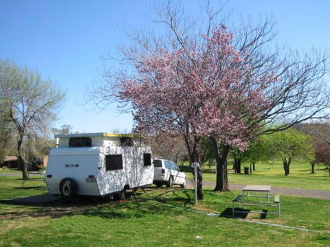 Wellington Caves Caravan Park - Accommodation Directory 0