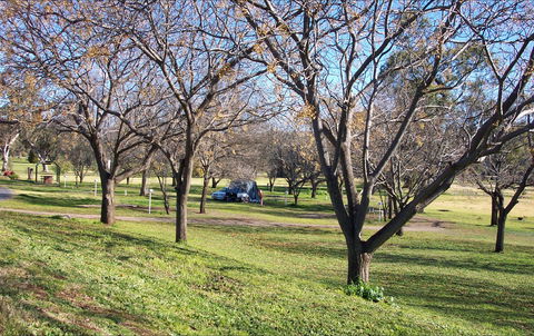 Wellington Caves Caravan Park - Accommodation Directory 1