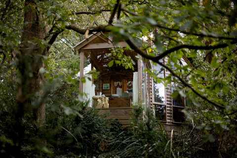 Arcadia Cottages - Accommodation Directory 1