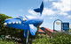 Blue Whale Motor Inn And Apartments - thumb 0