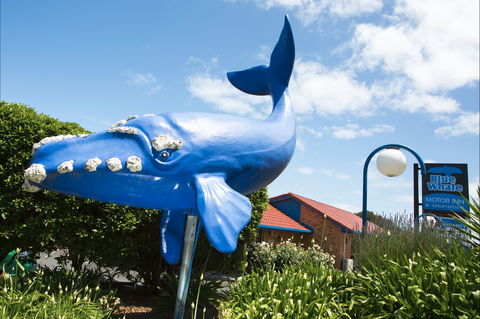 Blue Whale Motor Inn And Apartments - Accommodation Directory 0