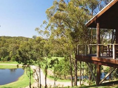 Cedars Mount View - Accommodation Directory 1
