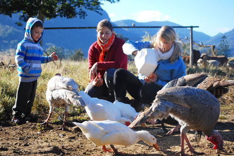 Cedar Glen Farmstay - Accommodation Directory 0