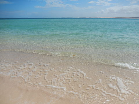 Gnaraloo Station - Accommodation Directory 0