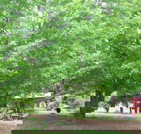 Hill End Holiday Ranch - Accommodation Directory