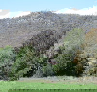 Jessica's Guest House and Vineyard - Accommodation Directory