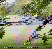 Kirra Beach Tourist Park - Accommodation Directory