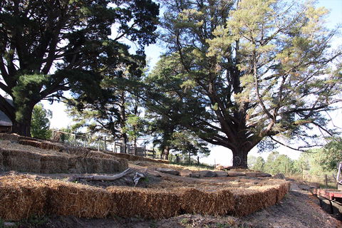 Longwood Retreat - Accommodation Directory 0