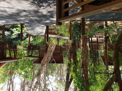 Melaleuca Surfside Backpackers - Accommodation Directory 0