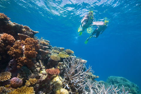 NRMA Cairns Holiday Park - Accommodation Directory 0