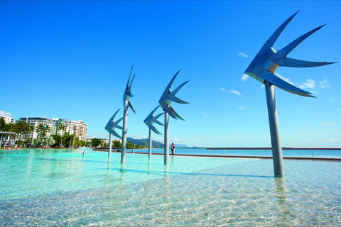 NRMA Cairns Holiday Park - Accommodation Directory 1
