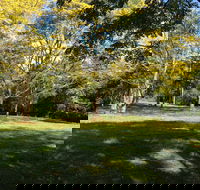Scenic Rim Adventure Park - Accommodation Directory