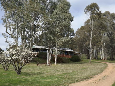 Taralee Orchards - Accommodation Directory 2