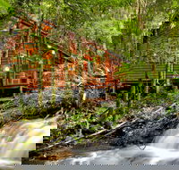 The Mouses House - Rainforest Retreat