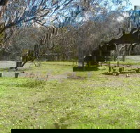 Tin Mines campground - Accommodation Directory