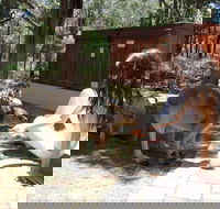 Yelverton Brook Eco Spa Retreat and Conservation Sanctuary - Accommodation Directory