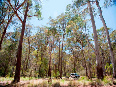 Coolah Tops National Park Camping - Accommodation Directory 0