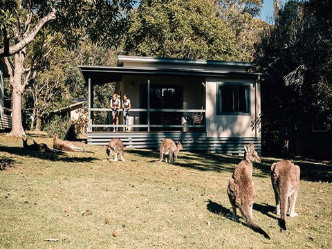 Depot Beach Cabins - Accommodation Directory 0