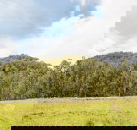 Mountain Arm campground - Accommodation Directory