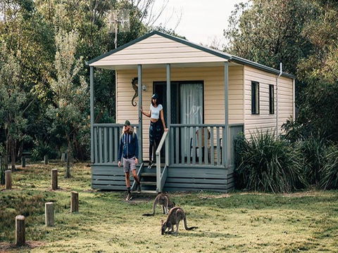 Pretty Beach Cabins - Accommodation Directory 0