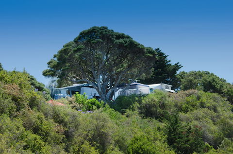 Sorrento Foreshore Camping - Accommodation Directory 2