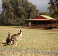 The Pokolbin Cabins - Accommodation Directory