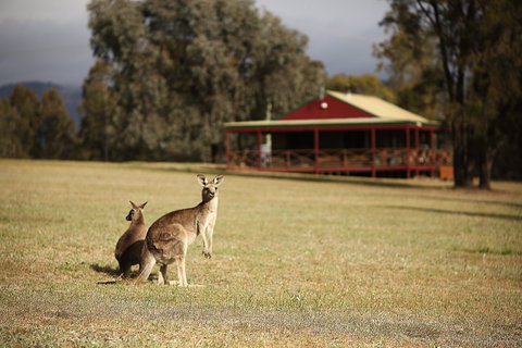 The Pokolbin Cabins - Accommodation Directory 0