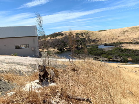 Topdeck At Snelling Beach - Accommodation Directory 2