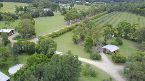 Twin Trees - Accommodation Directory 1