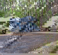 Wollomombi campground - Accommodation Directory