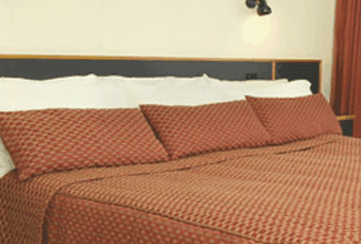 Margarets Forest Holiday Apartments - Accommodation Directory 0