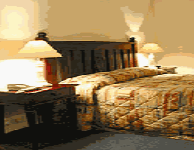 Comfort Inn Treetop Walk - Accommodation Directory